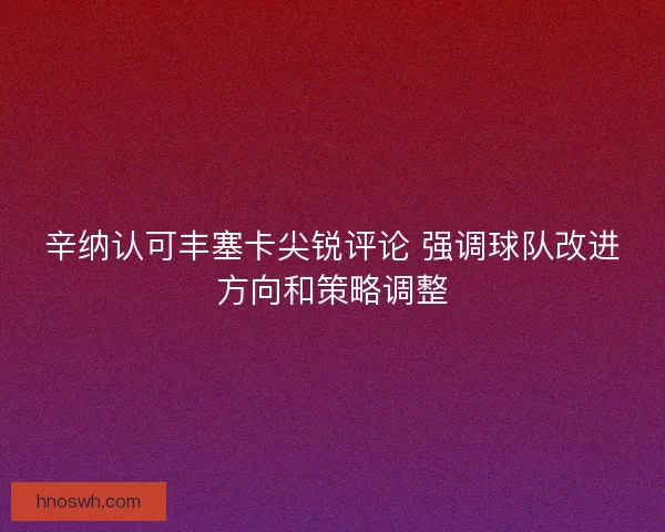 辛纳认可丰塞卡尖锐评论 强调球队改进方向和策略调整